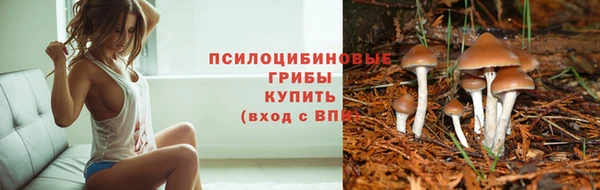 PSILOCYBIN Арсеньев
