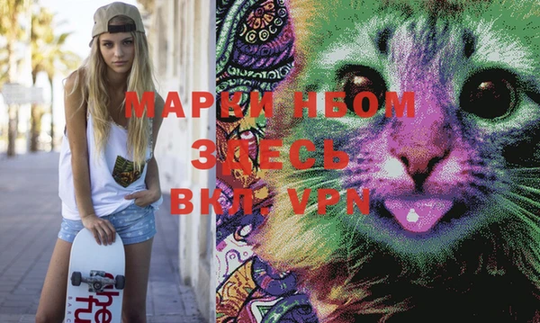 молекула духа Аркадак