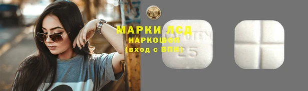 молекула духа Аркадак