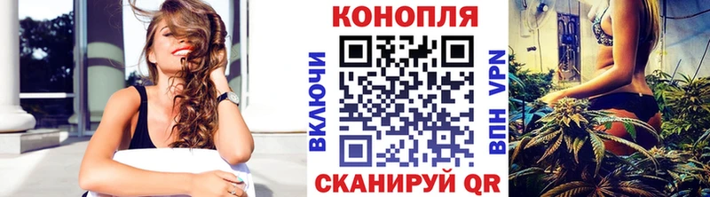 Конопля сатива  Семёнов 